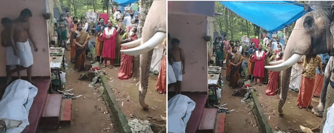 [VIDEO] Gajah Beri Penghormatan Terakhir Kepada Penjaganya Undang Saat Hiba