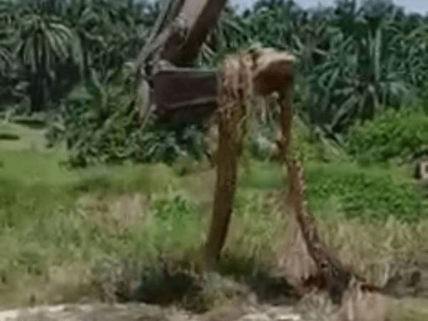 [VIDEO] Guna Jengkaut Alih Ular 'Gergasi'