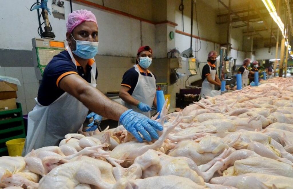 Terima Kasih Kerajaan, Rakyat Akui Lega Dengan Harga Ayam