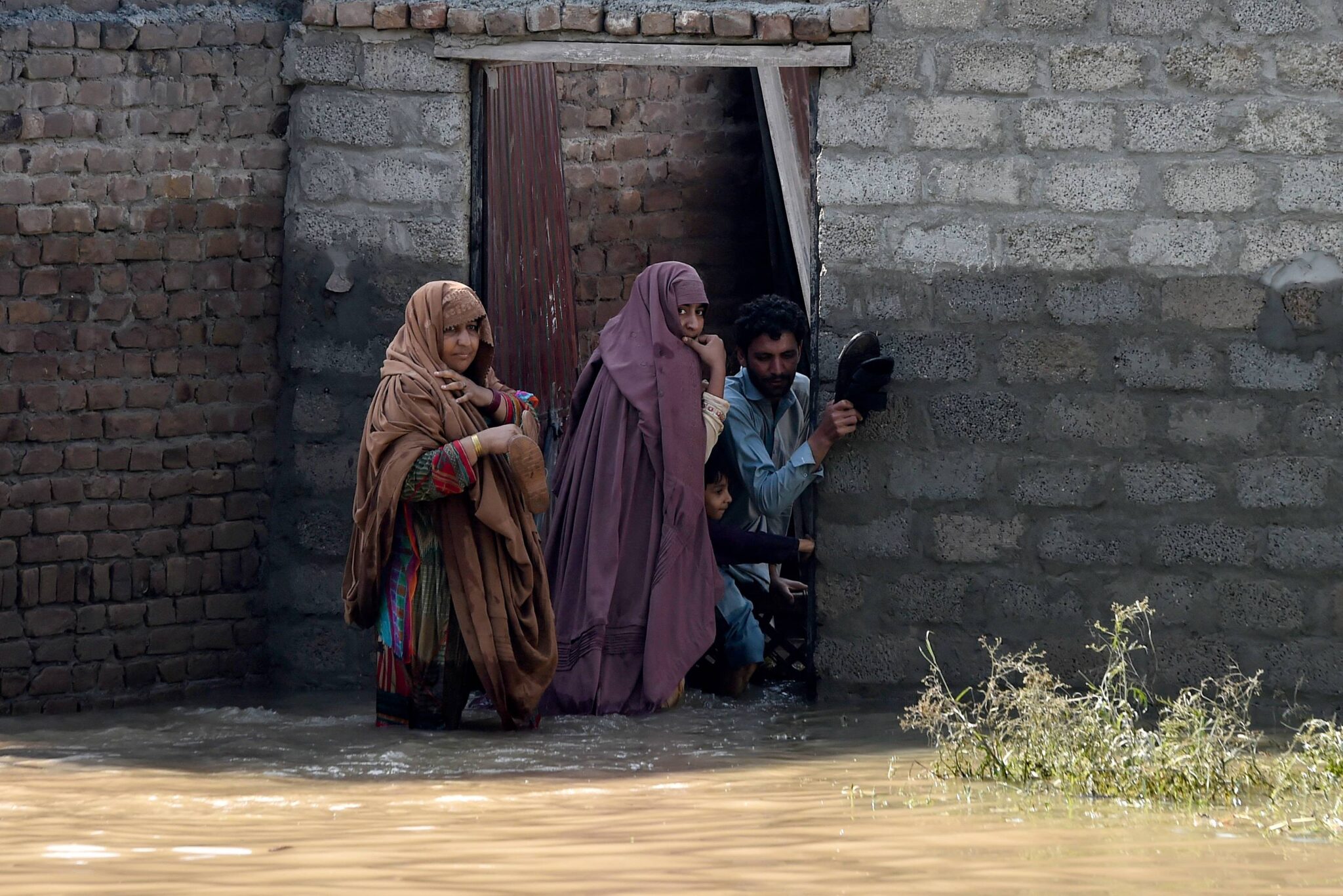 Wanita maut, lebih 100 menderita dipatuk ular berbisa dalam banjir di Pakistan — MYKMU.NET