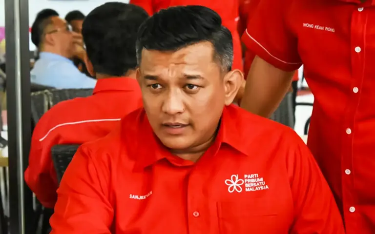 No need for Bersatu associate wing to form new party, says vice-chief