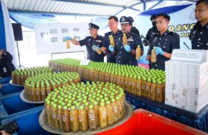 Proses ketum di sebalik kedai landskap