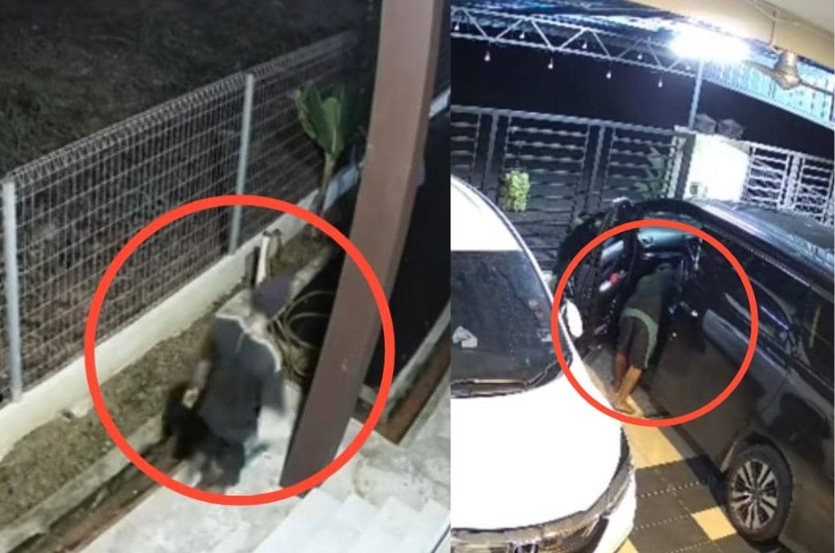 [VIDEO] Macam lipas kudung lari bila tuan rumah sedar