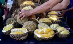 Pengurus syarikat rugi RM2.6 juta terperdaya AP durian musang king