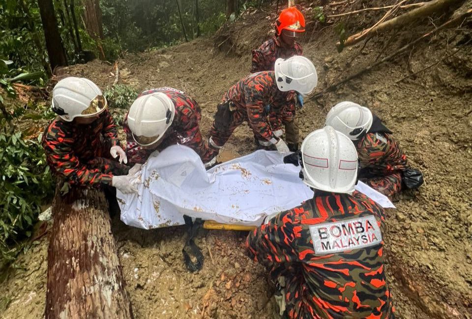 Lelaki Indonesia maut ditimpa pokok