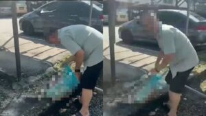 [VIDEO] Pelaku dera, seret kucing dalam jaring disiasat