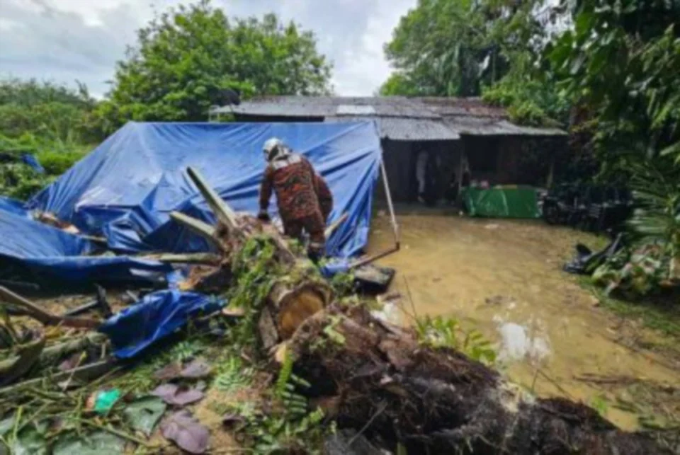 Khemah dihempap pokok kelapa sawit: Remaja patah kaki, 2 cedera