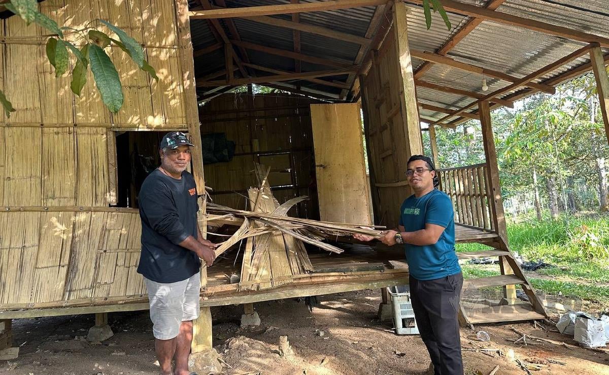 Penduduk Orang Asli menunjukkan kesan kemusnahan akibat gajah liar. FOTO Paya Linda Yahya