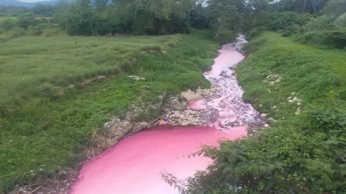 Air Sungai Kabul bertukar jadi merah jambu