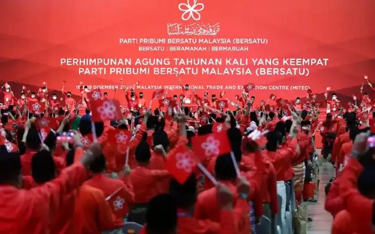 Preparing for snap polls not against king’s wishes, says Bersatu Youth