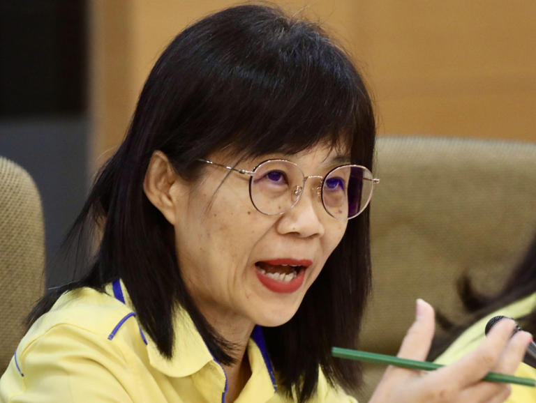 You still need to pass your SPM, MCA Wanita chief tells youths hoping to get jobs in Singapore