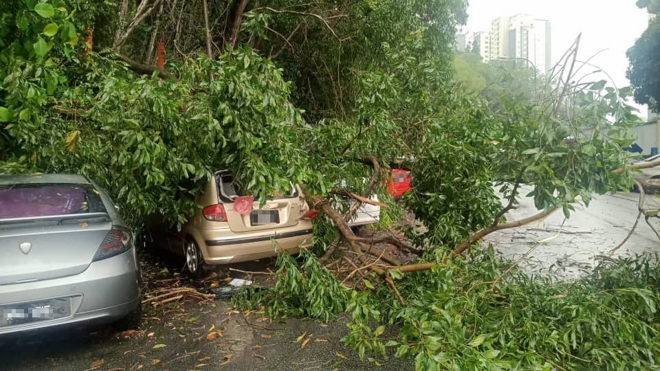 Empat kenderaan rosak dihempap pokok tumbang