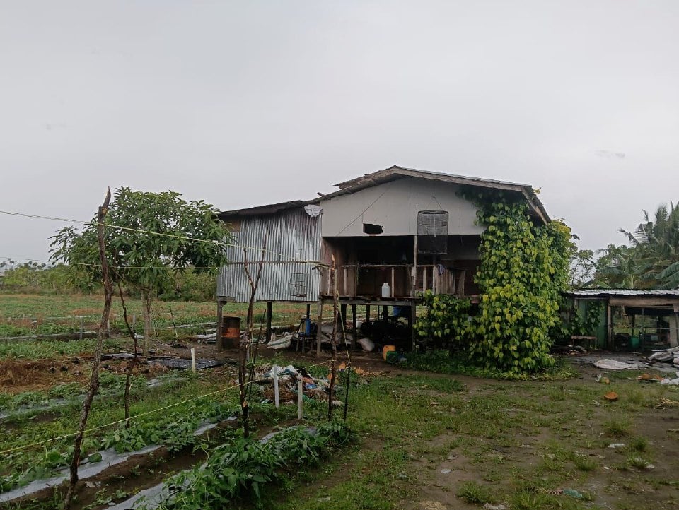 Pekerja kebun tembikai parah disamun empat lelaki