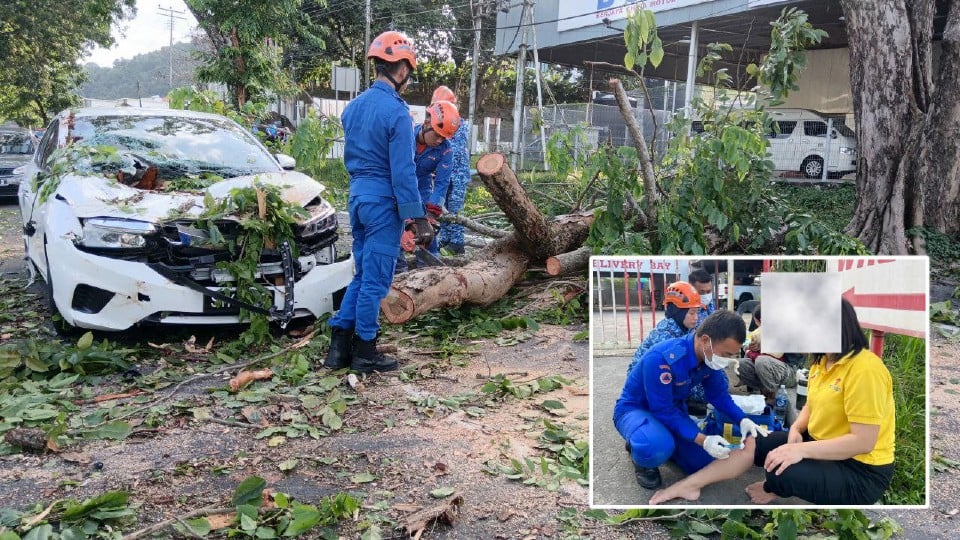 2 beranak cedera kereta dihempap pokok tumbang