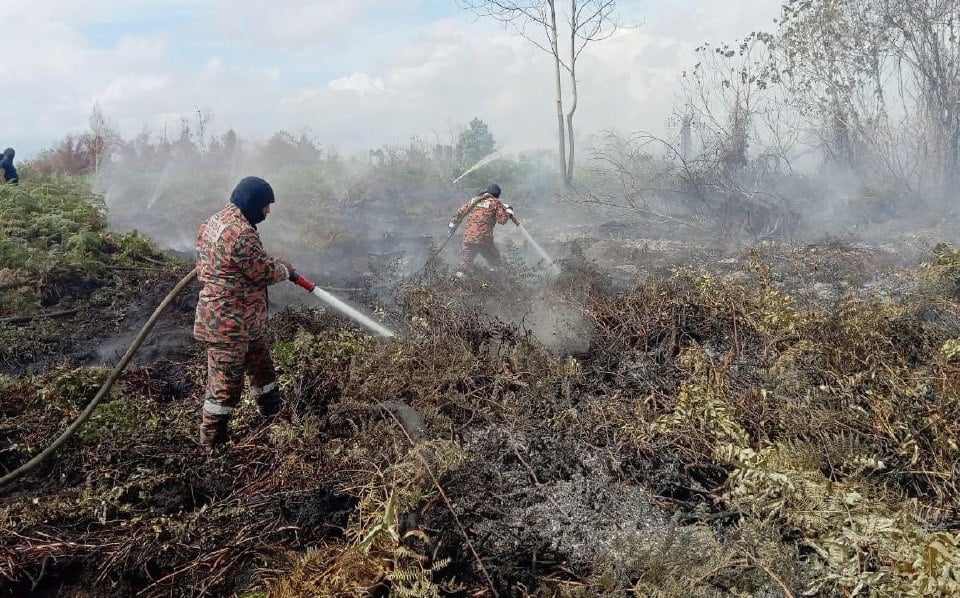 94 hektar hutan gambut di Pekan terbakar