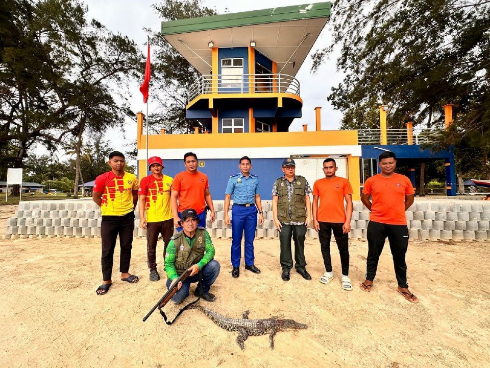 Buaya 1.2m dari Sungai Petagas ditembak di Pantai Tanjung Aru