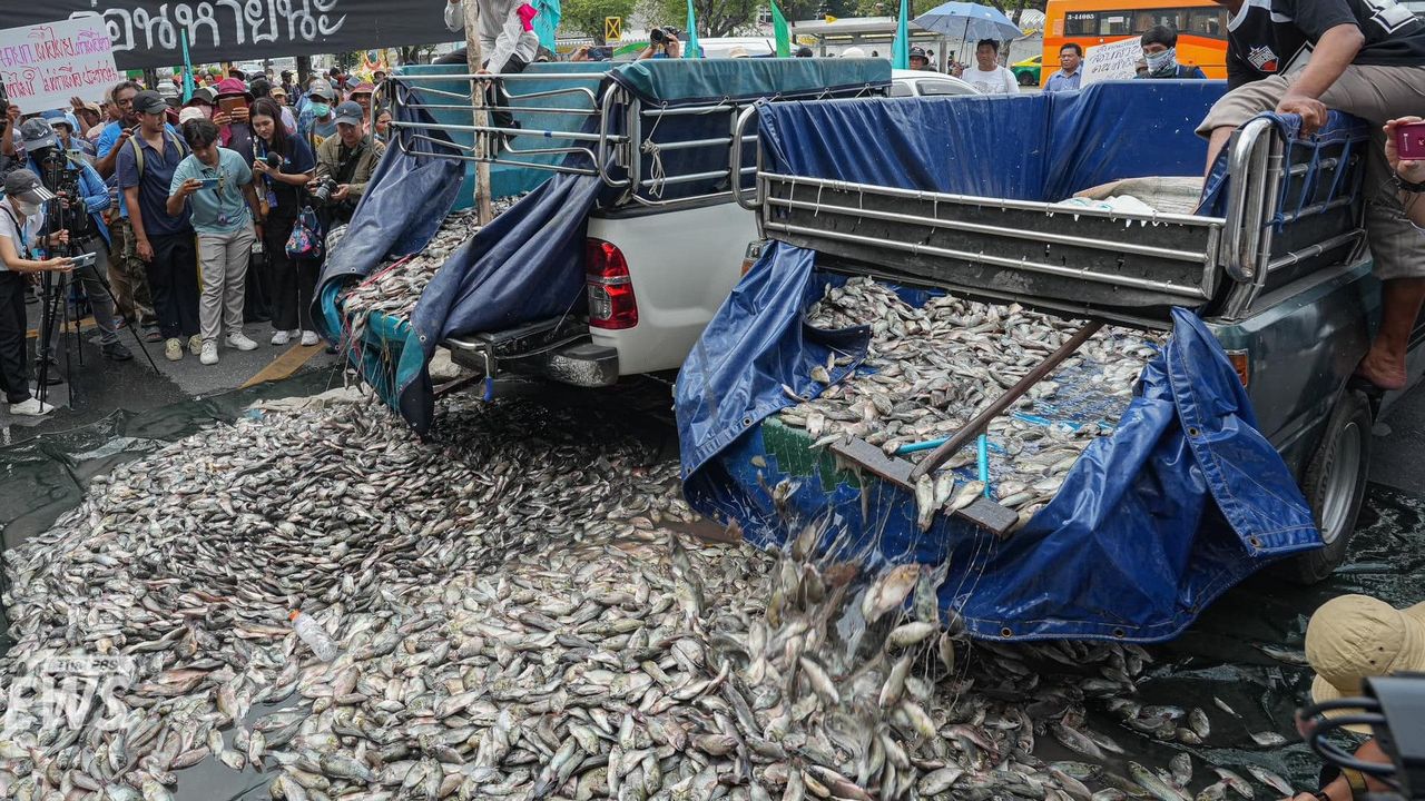 5 tan tilapia dilonggok depan pejabat kerajaan