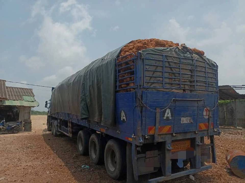 PGA patahkan cubaan seludup hampir 40,000 biji kelapa ke Thailand