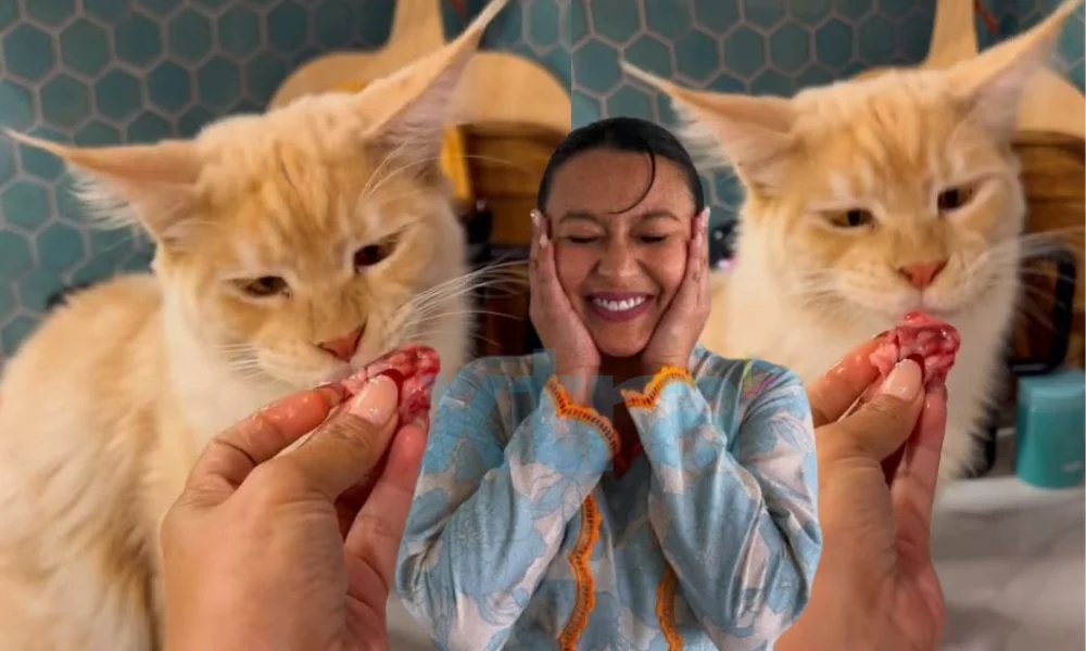 Kucing Nabila Huda Makan Wagyu A5