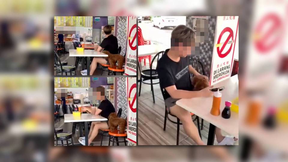 Polis cari lelaki bawa anjing di restoran