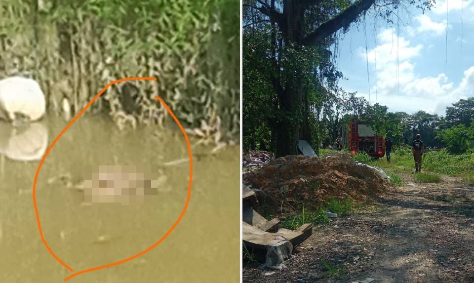 Polis sedang kenal pasti identiti mayat kanak-kanak ditemui di Sungai Skudai