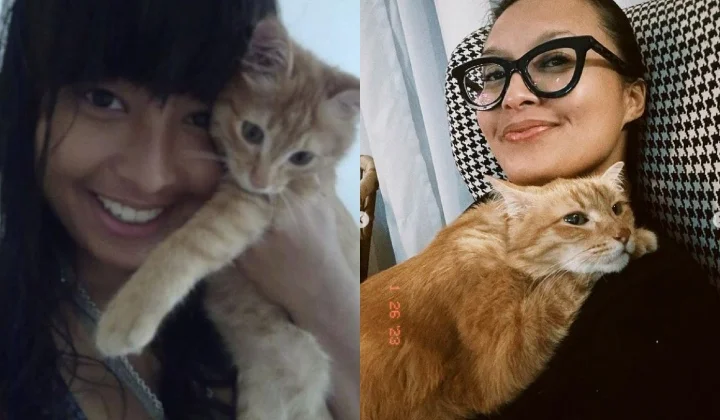 Kucing Nabila Huda Makan Wagyu A5