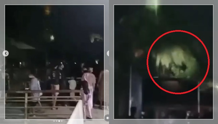 Kecoh hantu penanggal bertenggek di atas pokok