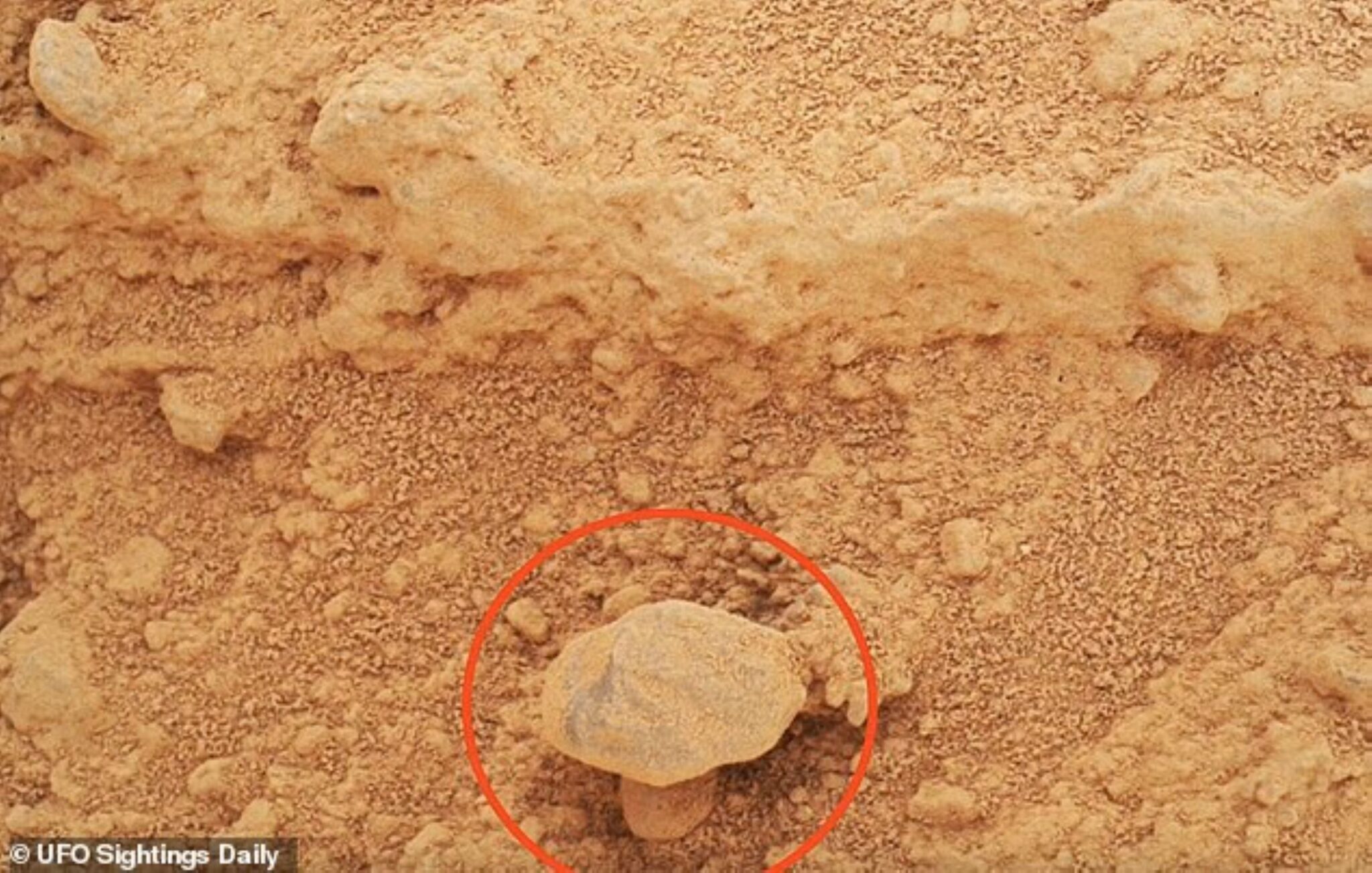 NASA kesan ‘cendawan’ tumbuh di Marikh