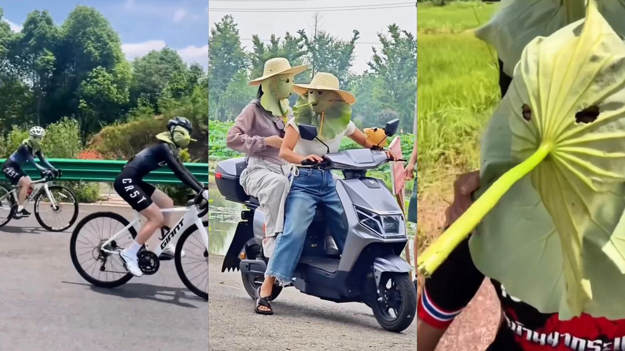 Trend pakai daun teratai elak sinaran matahari