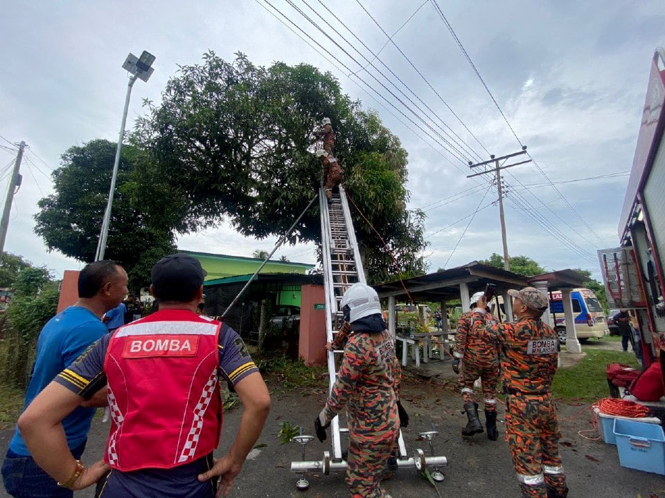 Terkena renjatan elektrik ketika petik mangga, lelaki maut di atas pokok