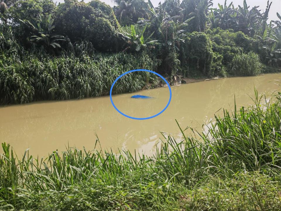 Polis cari suami isteri melarikan diri selepas kereta terjunam dalam sungai