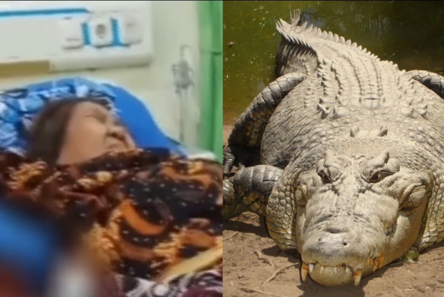 Nenek diterkam buaya ketika ambil wuduk di sungai