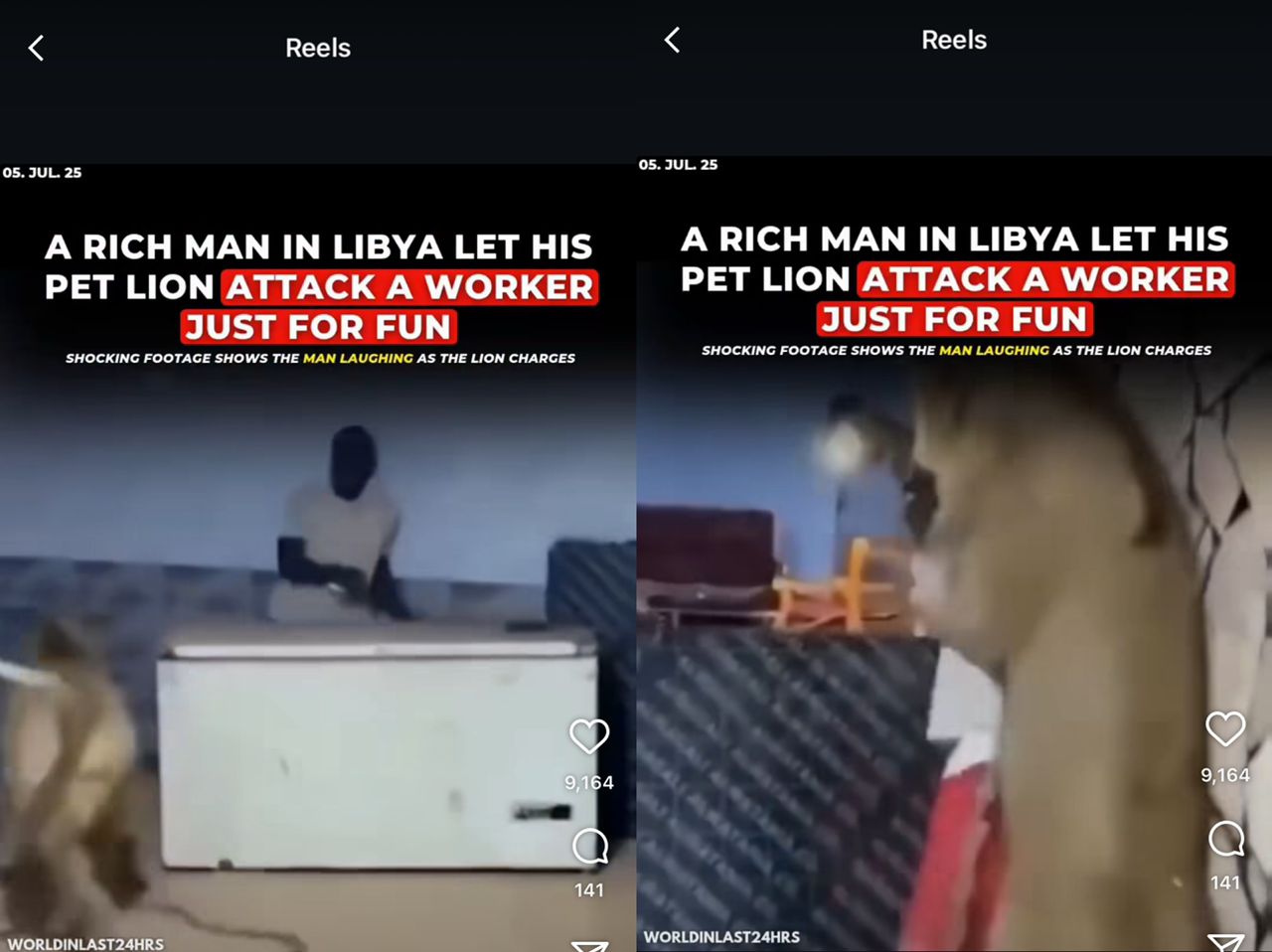 Lelaki arah singa peliharaan serang pekerja