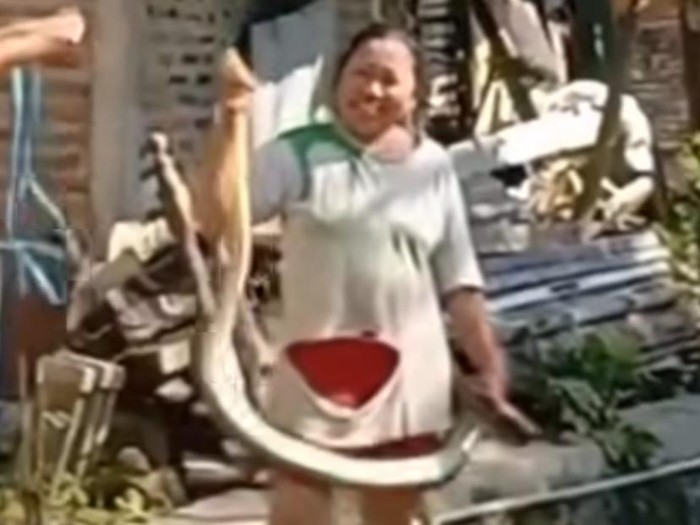 Mak cik kejar ular dalam sungai, selamba tangkap pakai tangan