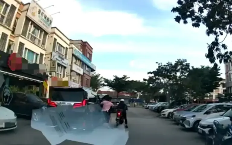 Victim fights back, snatch thief caught with help from public