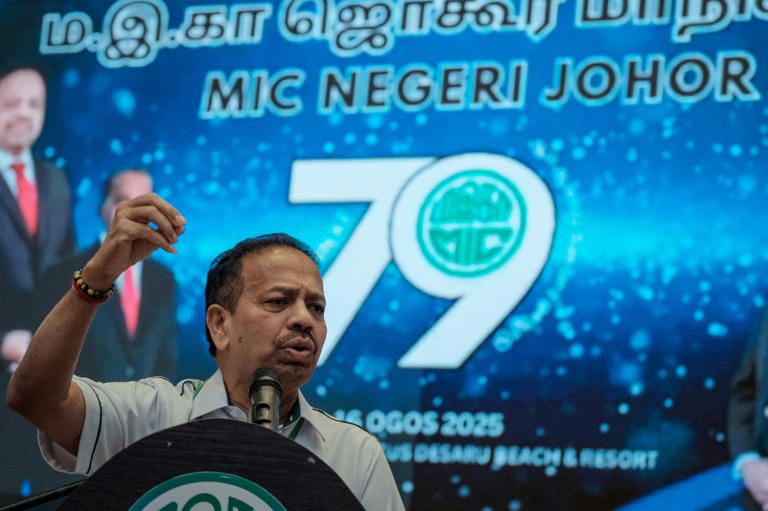 MIC says talks with Perikatan won’t affect support for Anwar’s unity government until end of term