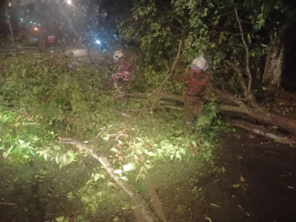 Pokok tumbang di beberapa kawasan di Selangor akibat hujan lebat, angin kencang