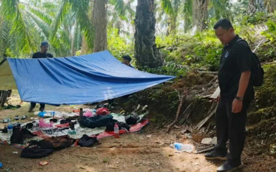 Serbuan dalam ladang kelapa sawit: Polis tahan 4 lelaki, rampas dadah RM14,700