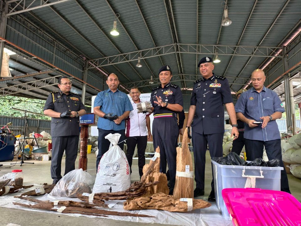 Kayu gaharu, peralatan bernilai RM106 juta disita