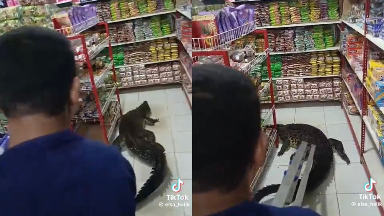 Buaya darat masuk kedai 