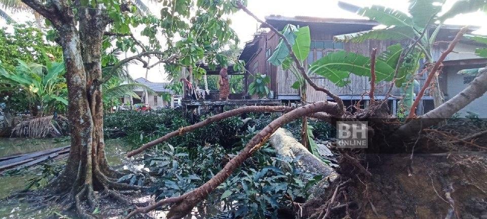Rumah warga emas rosak teruk dihempap pokok