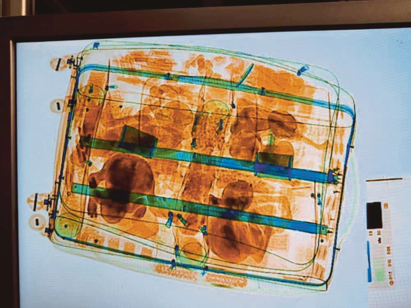 Syndicates using KLIA as key hub for wildlife smuggling