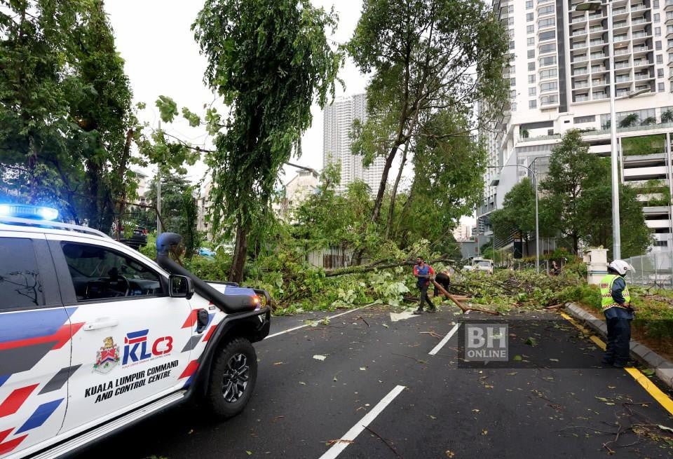 Hujan dan angin kencang sebabkan pokok tumbang, banjir di ibu kota