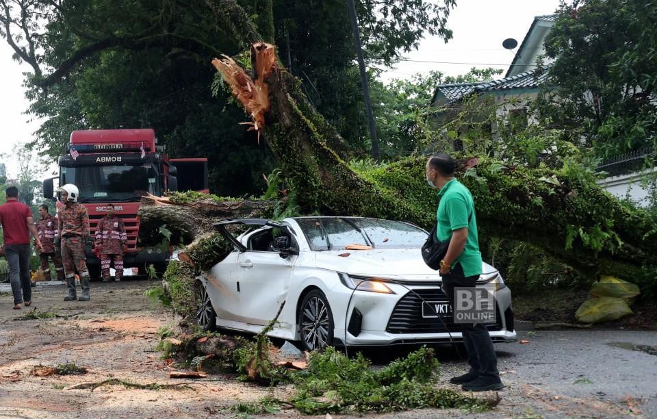 Bomba terima 16 panggilan pokok tumbang sekitar ibu kota