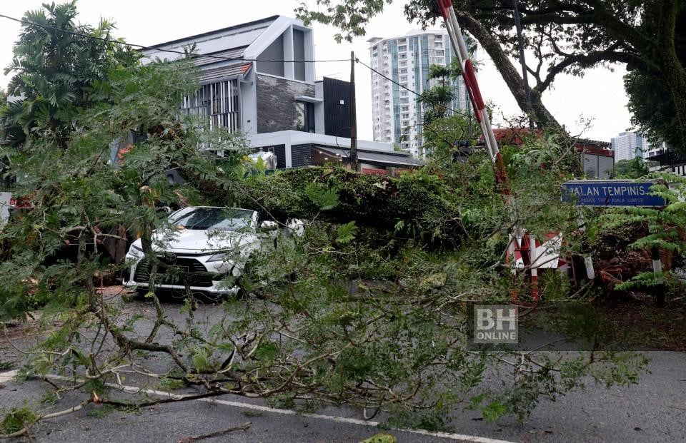 Hujan dan angin kencang sebabkan pokok tumbang, banjir di ibu kota