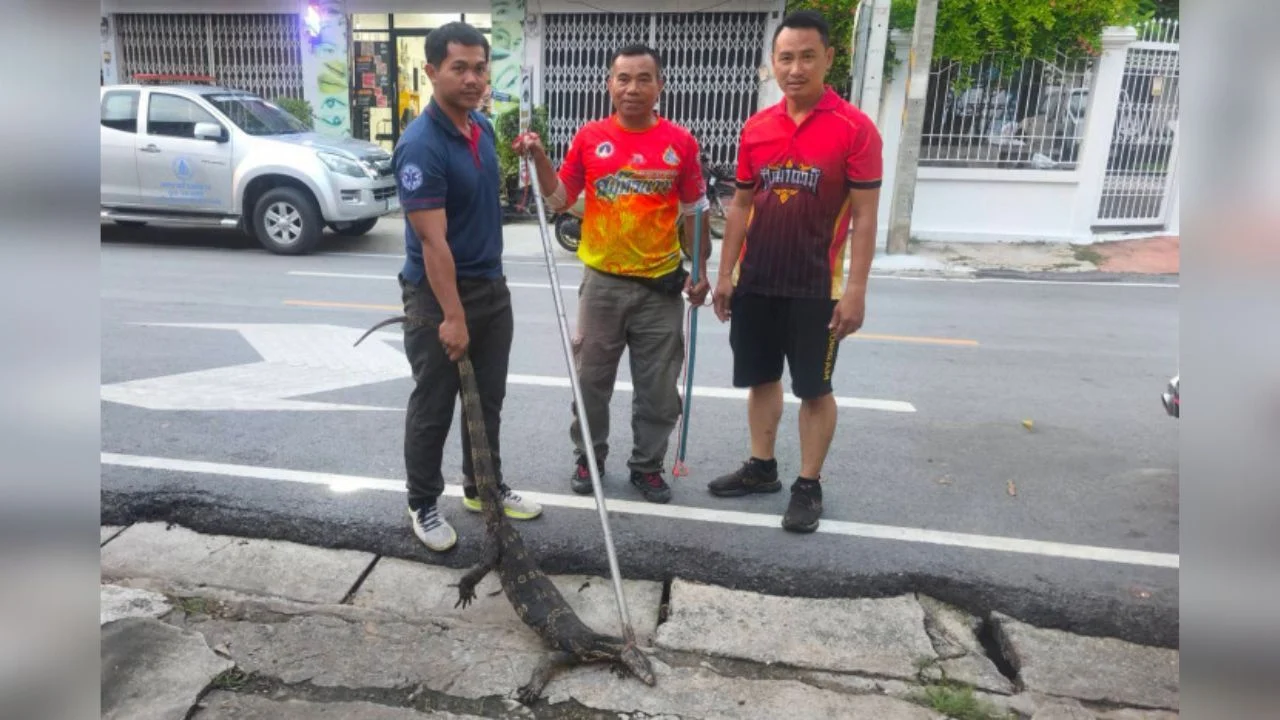 Pelanggan bertempiaran lihat biawak dalam restoran