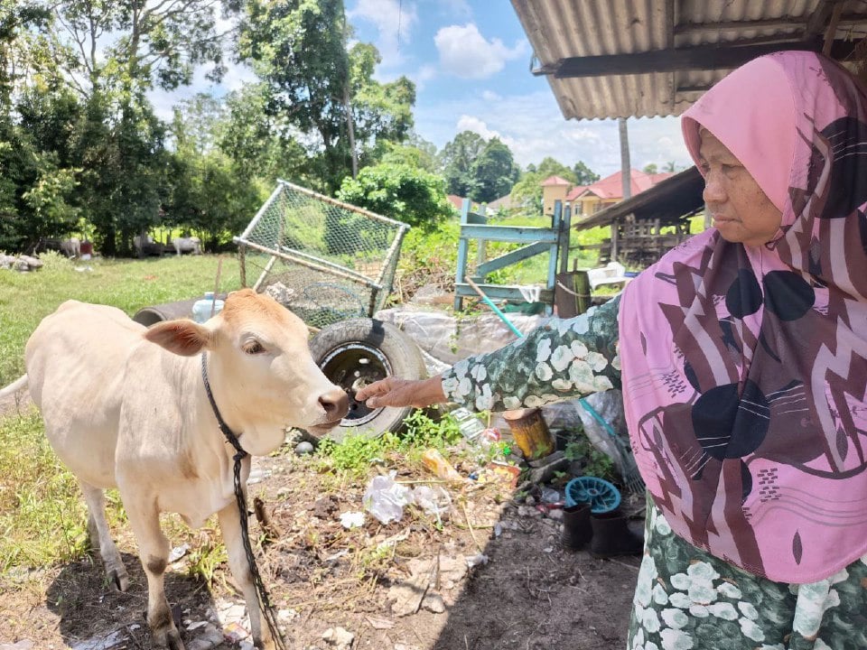'Minggu lalu, sekali lagi dia datang dalam mimpi, bersandar pada bot sambil tersenyum' - Che Bunga