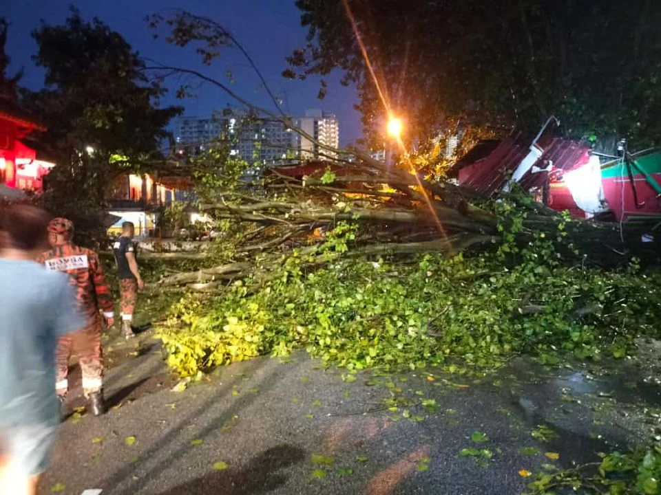 5 kenderaan dihempap pokok tumbang awal pagi