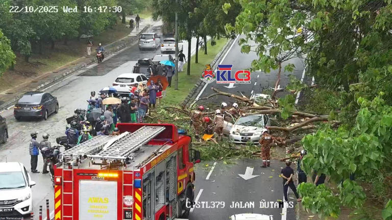 Firefighters rush to scene as tree falls on cars along Jalan Sultan Haji Ahmad Shah in Mount Kiara