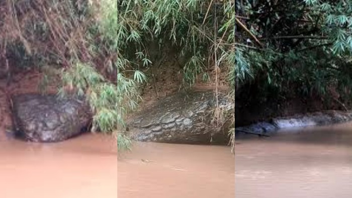 Batu ‘kepala ular’ ditemukan di sungai